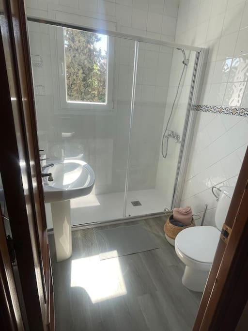 Exclusive Apartamento Limonar Малага Екстериор снимка